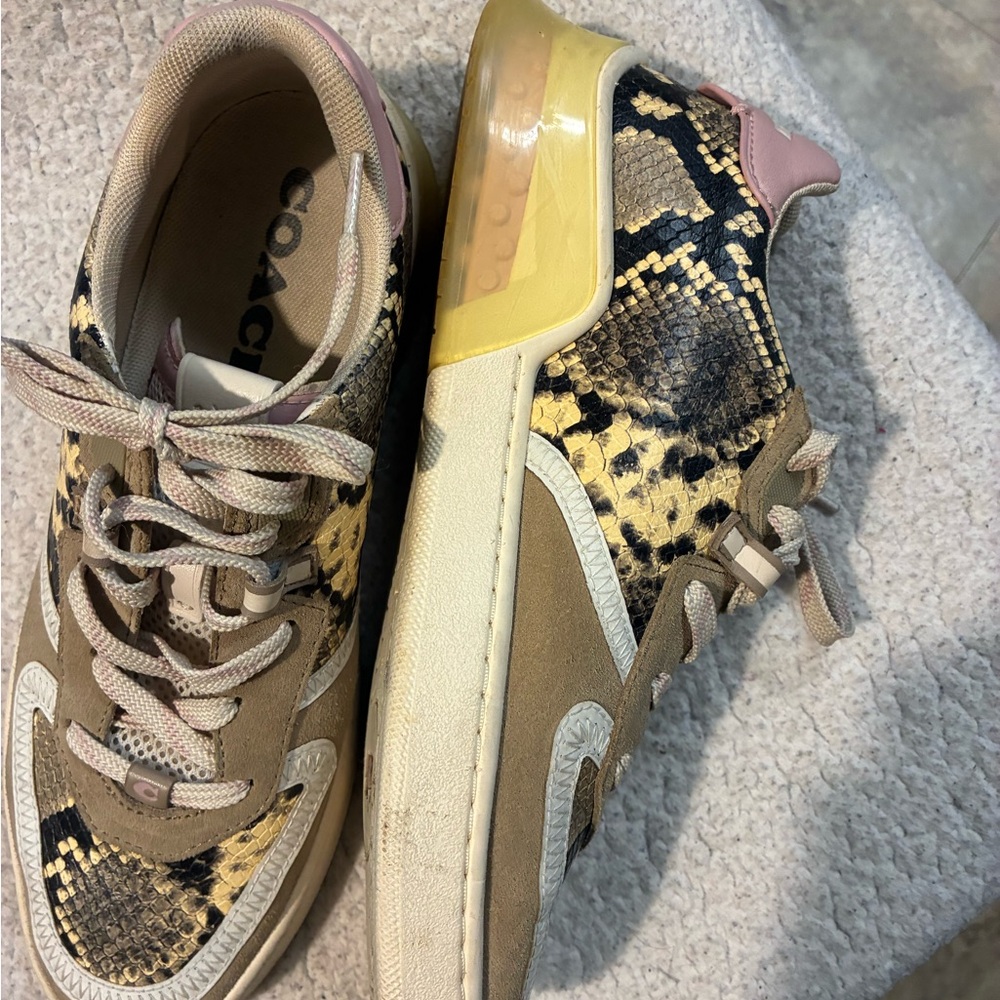 Coach Multicolor Snake Pattern Sneakers